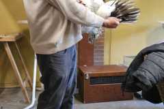 IMG-20260516-WA0001