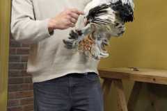 IMG-20260516-WA0004