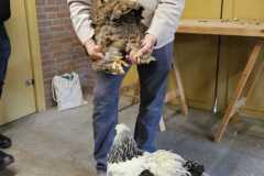 IMG-20260516-WA0007