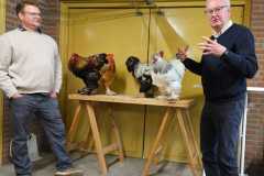 IMG-20260516-WA0009