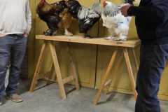 IMG-20260516-WA0010