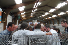 Foto's jongdierendag 2015