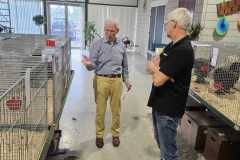 Foto jongdierendag Brahma Club 2024