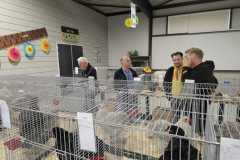 Foto jongdierendag Brahma Club 2024